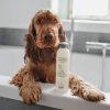 Shampoo / Pelspleje 🛁 