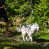 Løbeudstyr 🏃🏼‍♀️