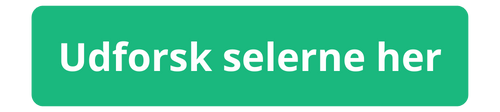 Udforsk hundeselerne her