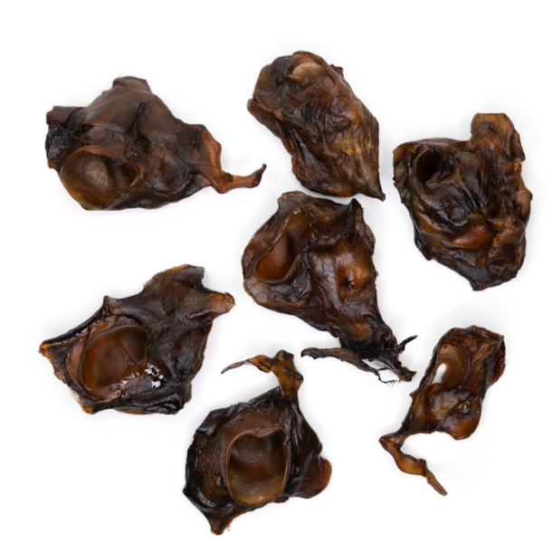 Snack't - Mrk Hestehud fra inderret