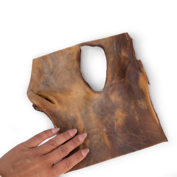 Snack'it - Kamelhudsplade ca. 20x20cm i pose