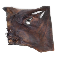 Snack'it XL Kamelhudsplade 30x30cm