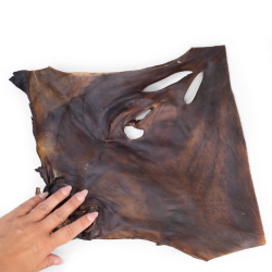 Snack'it XL Kamelhudsplade 30x30cm