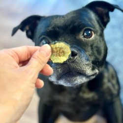 Trret agurke-topping 