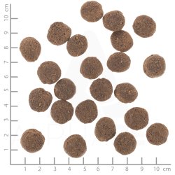 Wolfsblut Vetline - Hypoallergenic trfoder