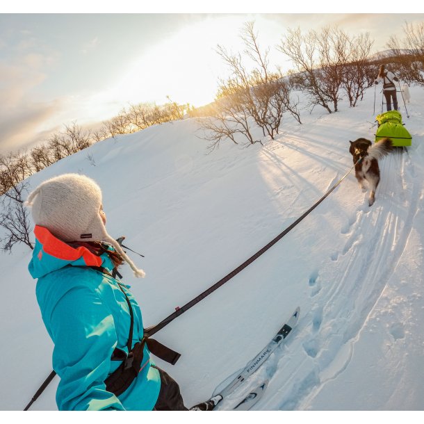 Non-stop - Touring bungee hundesnor