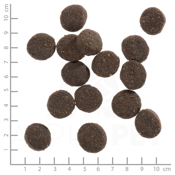 Wolfsblut Blue Mountain Adult, 12,5 kg - Vildt &amp; Kanin