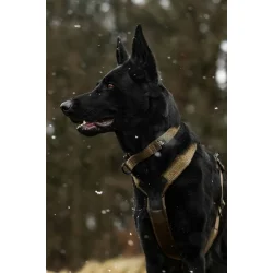 Solid adjustable collar WD (Justerbar halsbnd)