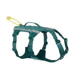 Non-Stop Dogwear, Ramble long Hundesele - Teal