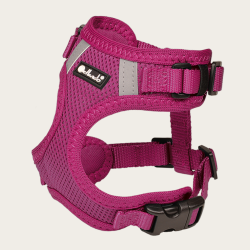 Petlando Mesh Vest - Fuchsia