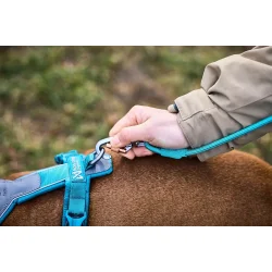 Trekking Rope Leash (Orange) 
