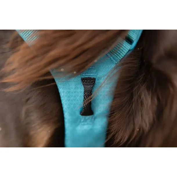 Non-Stop Dogwear, Ramble long Hundesele - Teal