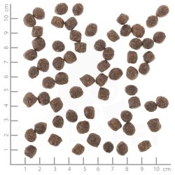 WOLFSBLUT, Range Lamb, Adult, 2 Kg. - small breed 