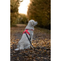 Non-Stop Dogwear Ramble Hundesele - Pink/Sort