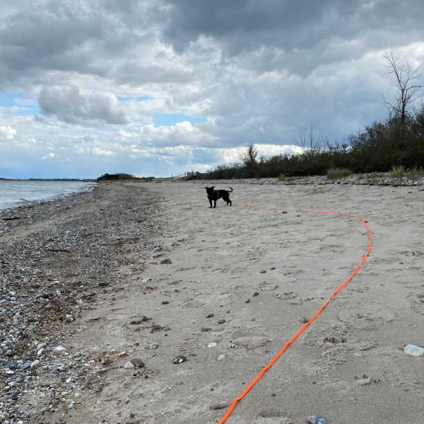 Petlando Tracking Hundesnor