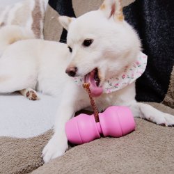Chewise Snack-Holder - Pink