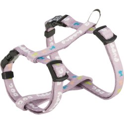 Junior puppy sele m. line - Lilla