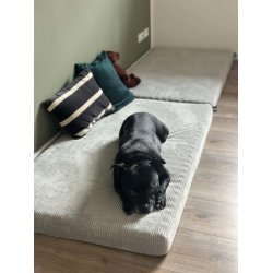 Petlando - Luke Ortho Mat Hundeseng, Gr� Fl�jl