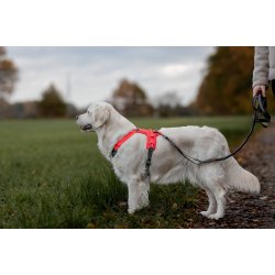 Non-Stop Dogwear Ramble Hundesele - Pink/Sort