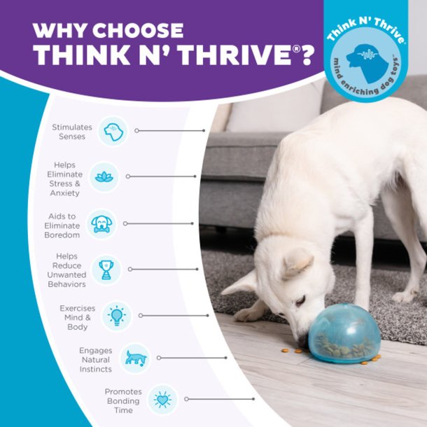 Snoop - Aktivrings legetj til Godbidder