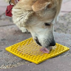 Sodapup Lickmat Honeycomb - Gul