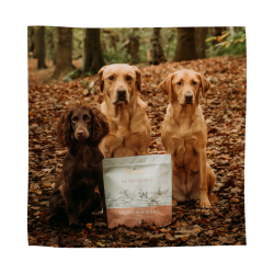 EDEN 60/40 Semi Moist Laks &amp; Vagtel 