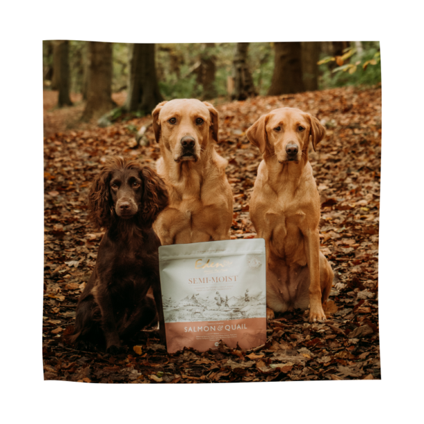 EDEN 60/40 Semi Moist Laks &amp; Vagtel 