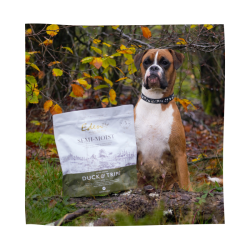 EDEN 60/40 Semi Moist Duck &amp; Tribe