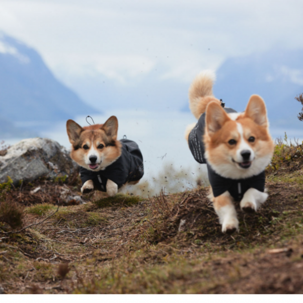 Nonstop Dogwear - Fjord regnfrakke | Sort