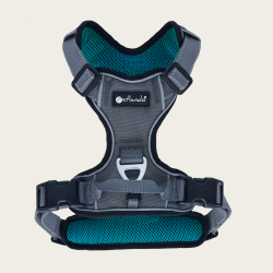 Petlando Outdoor Hundesele - Gr/petroleum