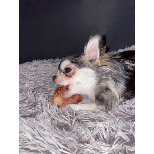 Whesco Tyggeben af Trrod