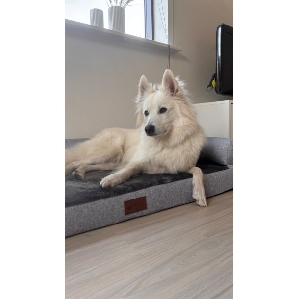 Alabama Ortopdisk Hundeseng - Gr