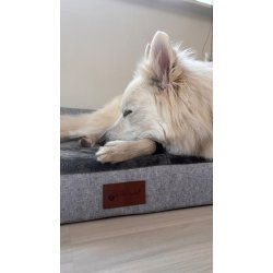 Alabama Ortopdisk Hundeseng - Gr