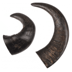 NATURE SNACK Bffelhorn 