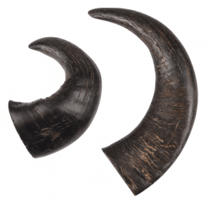 NATURE SNACK Bffelhorn 