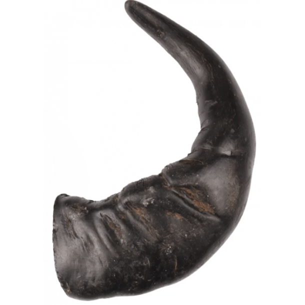 NATURE SNACK Bffelhorn 