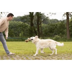 Instinct Chaser Long - Dummy i gte freskind, 100X11X4CM