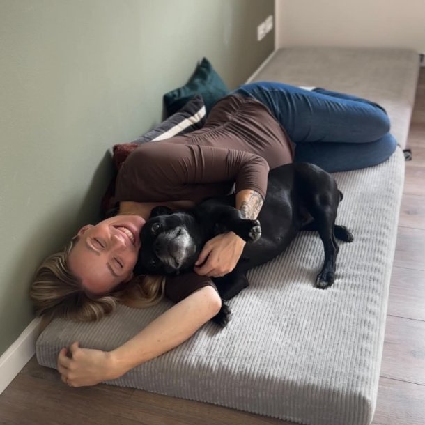 Petlando - Luke Ortho Mat Hundeseng, Gr� Fl�jl