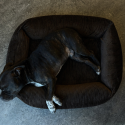 Petlando - Luke Ortho Hundeseng, M�rkebrun Fl�jl