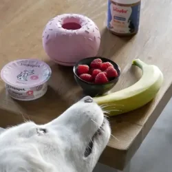 Inooko - Aktiverings Yoomy Donut, Lysebl�