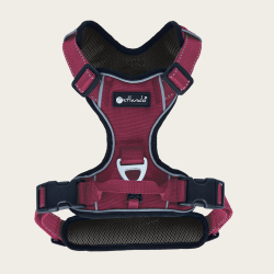 Petlando Outdoor Hundesele - Berry/sort