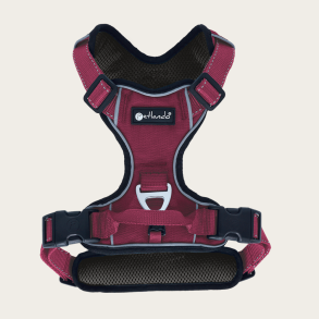 Petlando Outdoor Hundesele - Berry/sort