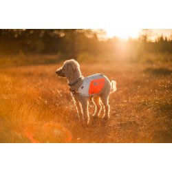 Refleksvest til hunde