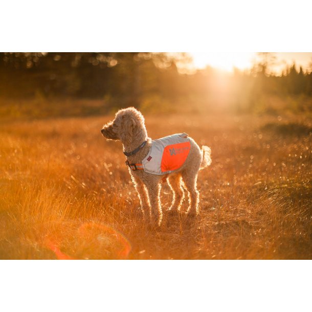 Refleksvest til hunde