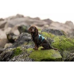 Non-Stop Dogwear, Ramble long Hundesele - Teal