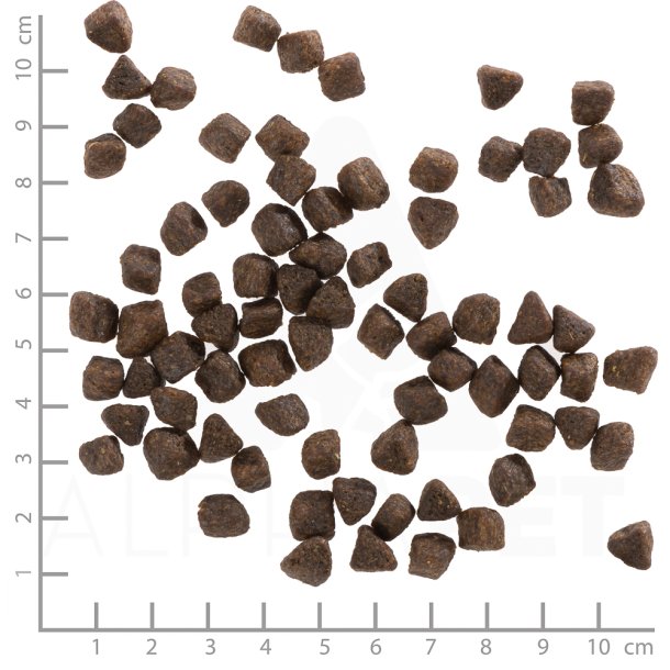 Wolfsblut Cold River Hvalpefoder - rred &amp; Laks