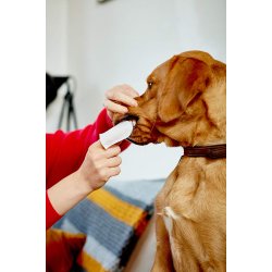 Vet's Best Engangs fingertandbrster 50 stk i btte