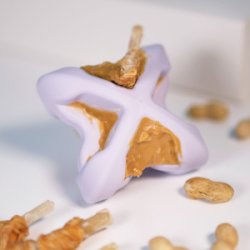 PetDreamHouse - Chewtastic Geometrics Geo-AstroRolly