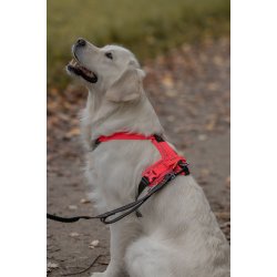 Non-Stop Dogwear Ramble Hundesele - Pink/Sort