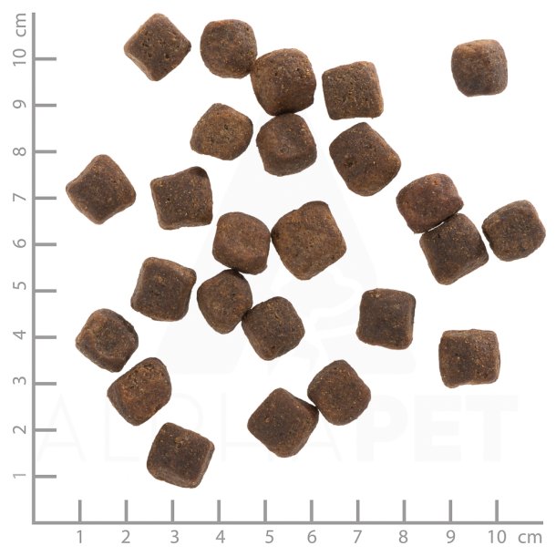 Wolfsblut Dark Forest Adult, 12,5 kg - Vildt